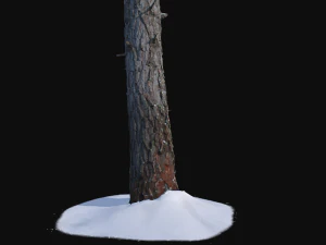 pine trunk with snow 2 vr 3D Model