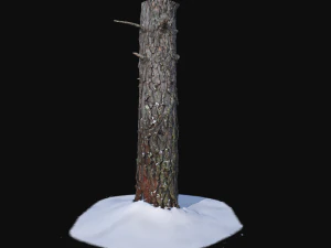 pine trunk with snow 2 vr 3D Model