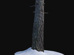pine trunk with snow 2 vr 3D Model