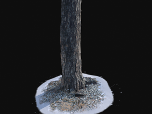 pine trunk with snow 3 vr Modelo 3D
