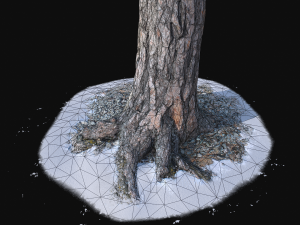 pine trunk with snow 3 vr Modelo 3D
