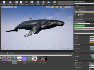 hump whale rigged 3D Model