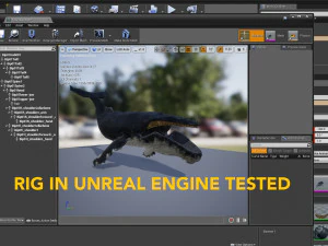hump whale rigged 3D Model