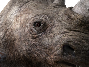 rhino warrior game character version 2 3D-Modell