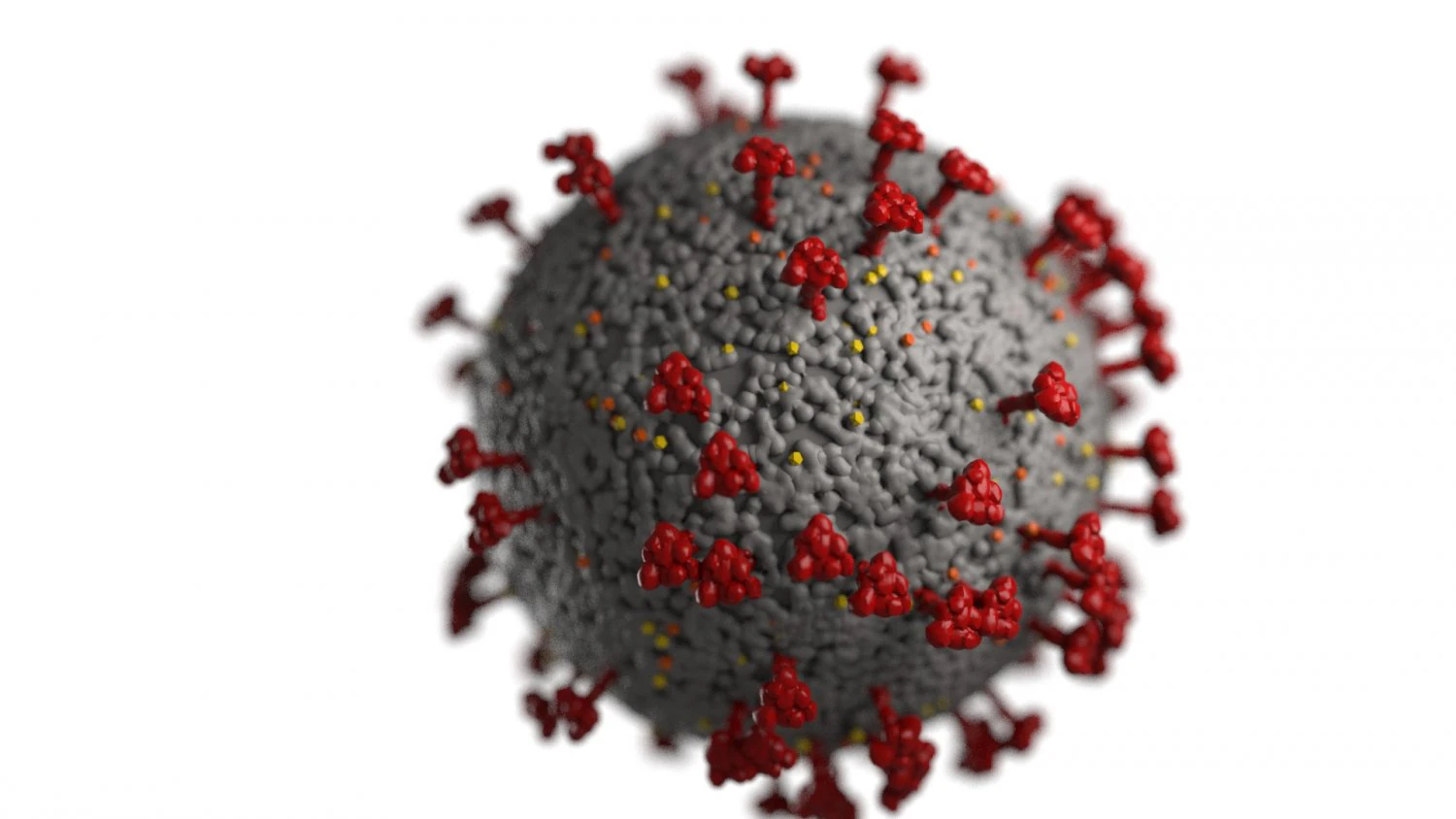 coronavirus covid 19 3D Model .c4d .max .obj .3ds .fbx .stl .blend