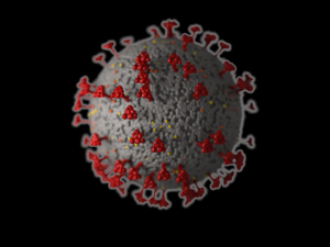 coronavirus covid 19 3D 모델