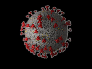coronavirus covid 19 3D Model