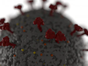 coronavirus covid 19 3D Model