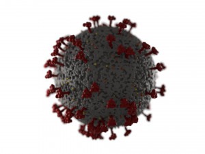 coronavirus covid 19 3D 모델