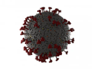 coronavirus covid 19 3D Model
