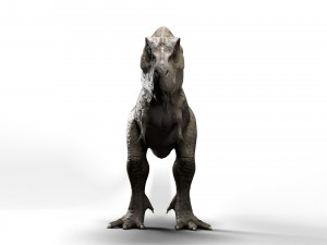 trex dinosaur tyrannosaurs Modèle 3D