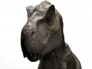 trex dinosaur tyrannosaurs Modèle 3D