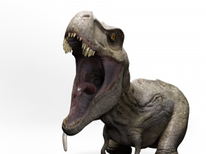 trex dinosaur tyrannosaurs Modèle 3D