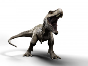 trex dinosaur tyrannosaurs Modèle 3D
