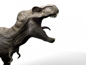 trex dinosaur tyrannosaurs Modèle 3D