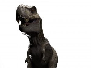trex dinosaur tyrannosaurs Modèle 3D