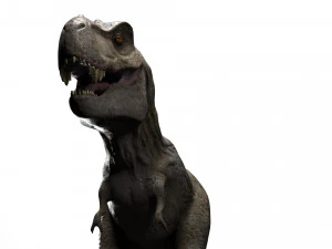 trex dinosaur tyrannosaurs 3D Model