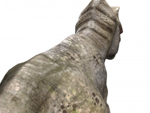 trex dinosaur tyrannosaurs Modèle 3D