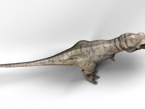 trex dinosaur tyrannosaurs Modèle 3D