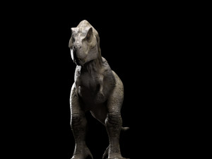 trex dinosaur tyrannosaurs Modèle 3D