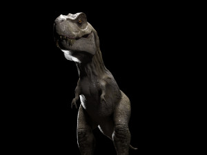 trex dinosaur tyrannosaurs Modèle 3D