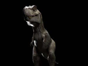 trex dinosaur tyrannosaurs 3D Model
