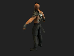 marauder 3D Model