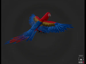 parrot 3D Model