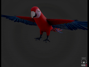 parrot Modèle 3D