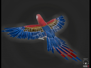 parrot Modèle 3D