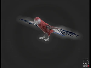 parrot 3D Model