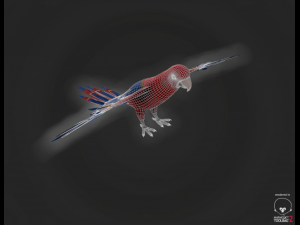 parrot Modèle 3D