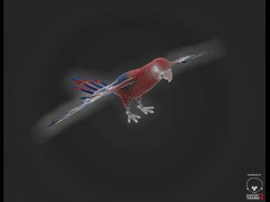 parrot 3D Model