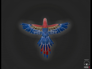 parrot Modèle 3D