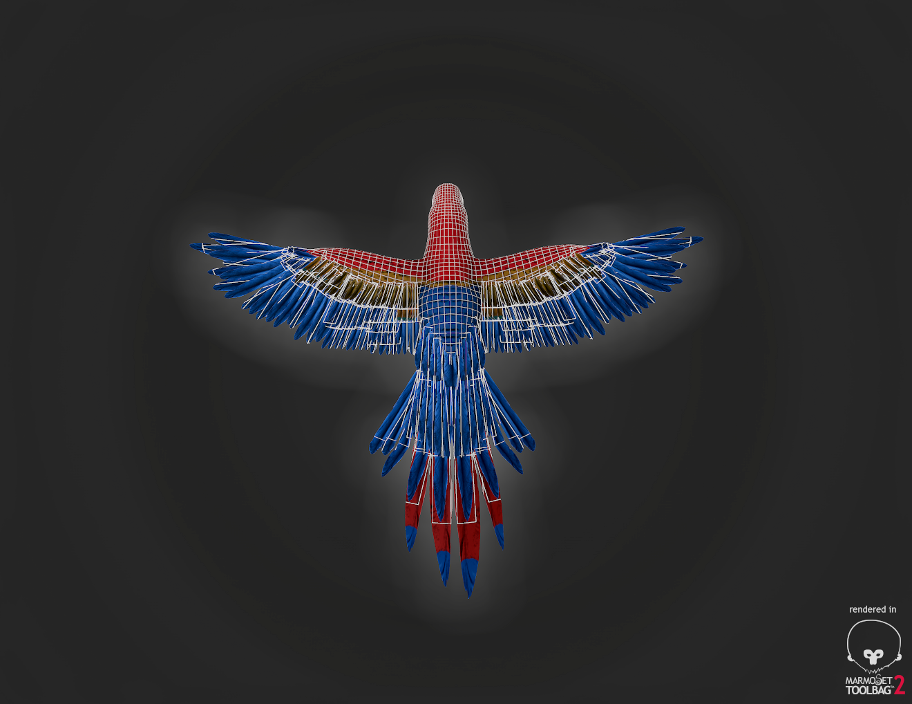 parrot 3d model bird