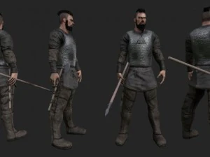 viking Modèle 3D