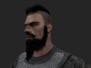 viking 3D Model