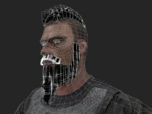 viking 3D Model