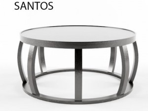 santos Model 3D