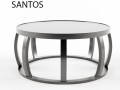 santos Model 3D
