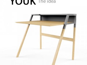 youk from the idea Model 3D