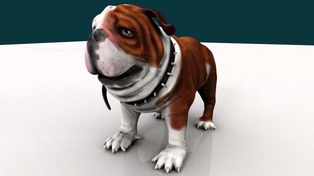 bulldog Modelo 3D .c4d .max .obj .3ds .fbx .stl .blend 