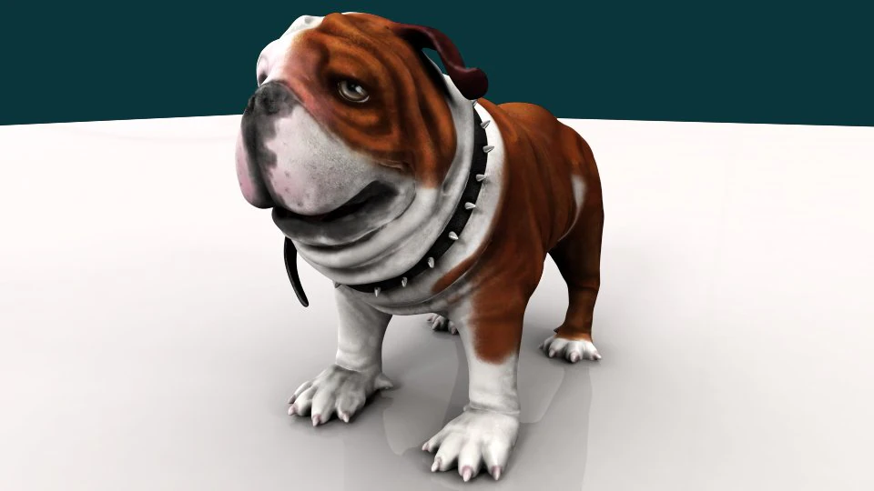 bulldog 3D Model .c4d .max .obj .3ds .fbx .stl .blend