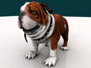 Buldog 3D Model