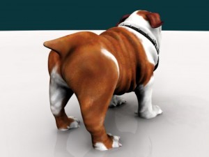 bulldog Modelo 3D