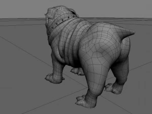 bulldog 3D Model
