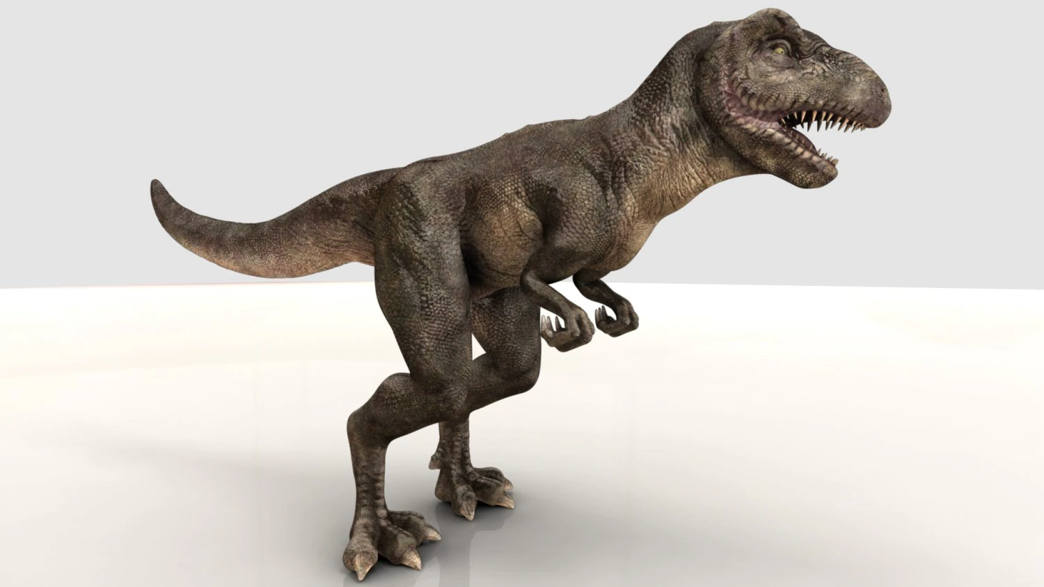 tyrannosaurus 3D Model .c4d .max .obj .3ds .fbx .stl .blend 