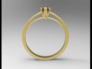 ring 04 3D Print Model