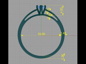 ring 04 3Dプリントモデル