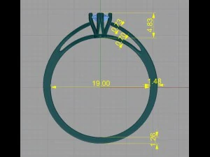 ring 04 3D Print Model